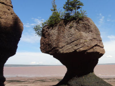 Photos à marée basse à Hoppewell Rocks